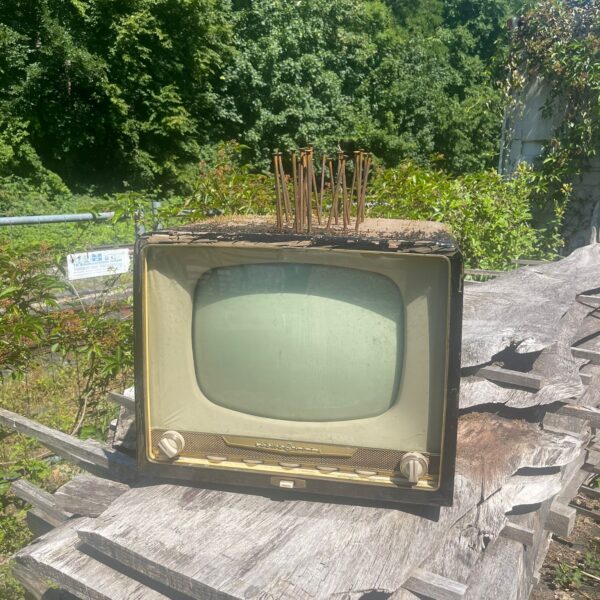 34 Grad und ein Fernseher mit Nägeln